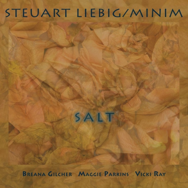 Steuart Liebig/Minim - Salt in the group CD / Upcoming releases / Jazz at Bengans Skivbutik AB (5695074)