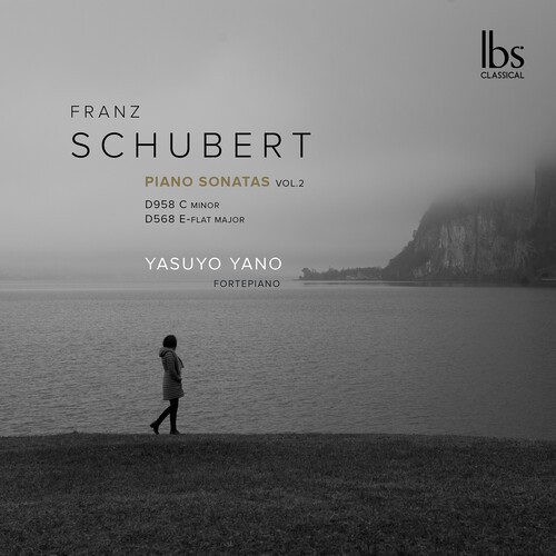 Franz Schubert - Fortepiano Sonatas in the group CD / Klassiskt at Bengans Skivbutik AB (5695585)