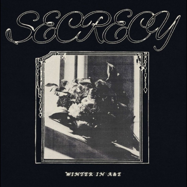 Secrecy - Winter In A&E in the group VINYL / Upcoming releases / Pop-Rock at Bengans Skivbutik AB (5695690)
