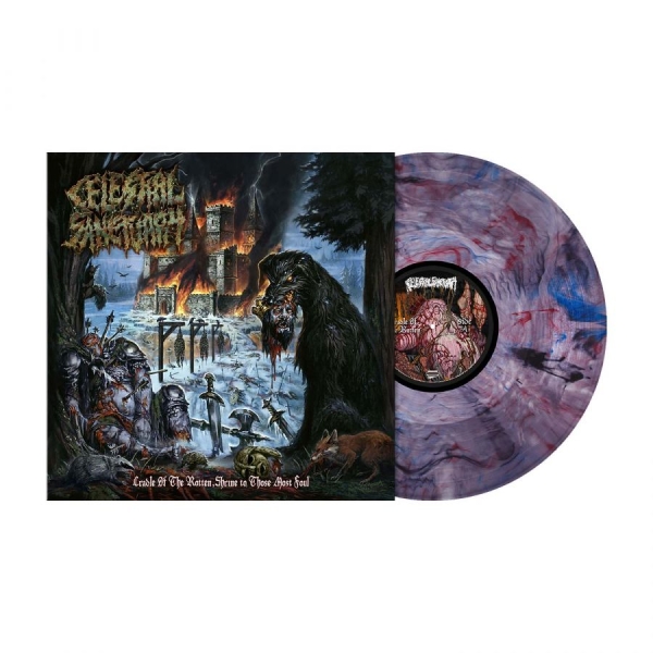 Celestial Sanctuary - Cradle Of The Rotten, Shrine To Tho in the group VINYL / Upcoming releases / Hårdrock at Bengans Skivbutik AB (5696123)