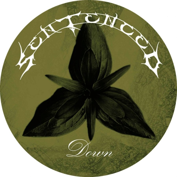Sentenced - Down (Picture Disc Vinyl Lp) in the group VINYL / Hårdrock at Bengans Skivbutik AB (5696685)