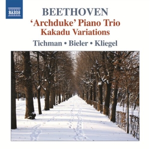 Beethoven - Trios Vol 5 in the group Externt_Lager /  at Bengans Skivbutik AB (571060)