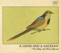 Hawk And A Hacksaw A - The Way The Wind Blows in the group CD / Pop-Rock at Bengans Skivbutik AB (575697)