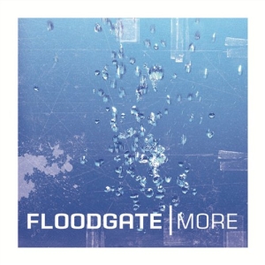 Floodgate - More in the group Externt_Lager /  at Bengans Skivbutik AB (576340)
