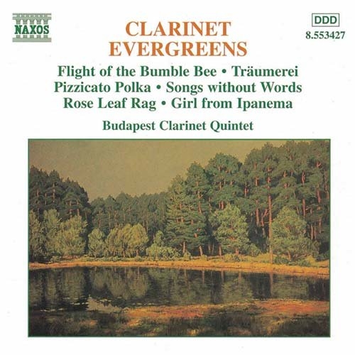 Various - Clarinet Evergreens in the group Externt_Lager /  at Bengans Skivbutik AB (578695)