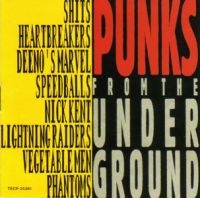 Various Artists - Punks From The Underground in the group CD / Pop-Rock at Bengans Skivbutik AB (579769)