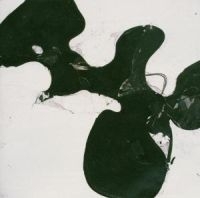 Eleventh Dream Day - Stalled Parade in the group CD / Pop-Rock at Bengans Skivbutik AB (580213)