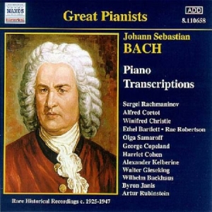 Bach Johann Sebastian - Piano Transcriptions in the group CD / Klassiskt at Bengans Skivbutik AB (580726)