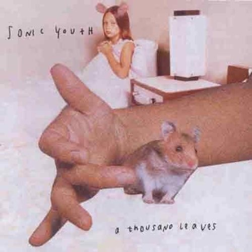 Sonic Youth - Thousand Leaves in the group CD / Pop-Rock at Bengans Skivbutik AB (581004)