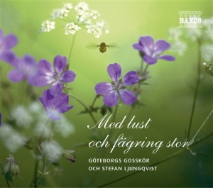 Göteborgs Gosskör - Med Lust Och Fägring Stor in the group CD / Övrigt at Bengans Skivbutik AB (581241)