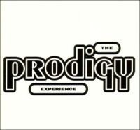 Prodigy The - Experience in the group CD / Dance-Techno at Bengans Skivbutik AB (587817)
