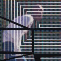 Grubbs David - Plain Where The Palace Stood in the group CD / Pop-Rock at Bengans Skivbutik AB (593896)