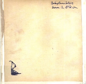 Babyshambles - Down In Albion in the group CD / Pop-Rock at Bengans Skivbutik AB (595958)