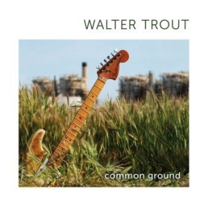 Trout Walter - Common Ground in the group CD / Rock at Bengans Skivbutik AB (596529)