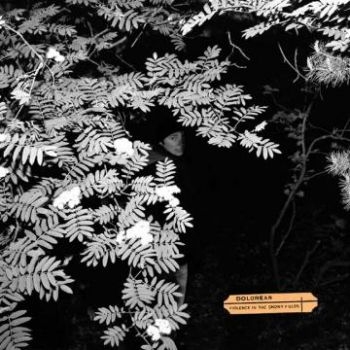Dolorean - Violence In The Snowy Fields in the group CD / Bestsellers at Bengans Skivbutik AB (601160)