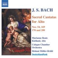 Bach - Alto Cantatas in the group Externt_Lager /  at Bengans Skivbutik AB (603063)