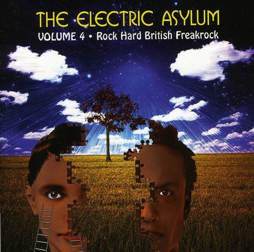 Blandade Artister - Electric Asylum Vol 4 in the group CD / Rock at Bengans Skivbutik AB (603424)
