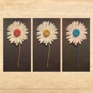 Telemachus - In The Evening in the group CD / Pop-Rock at Bengans Skivbutik AB (603908)