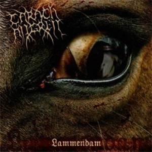 Carach Angren - Lammendam (Reissue) in the group CD / Hårdrock/ Heavy metal at Bengans Skivbutik AB (608386)