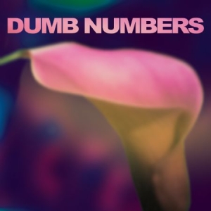 Dumb Numbers - Dumb Numbers in the group CD / Rock at Bengans Skivbutik AB (611564)
