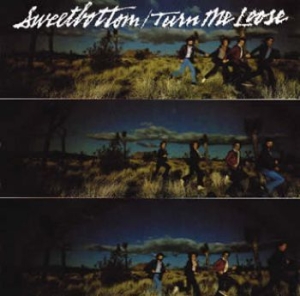 Sweetbottom - Turn Me Loose in the group CD / Pop-Rock at Bengans Skivbutik AB (612525)