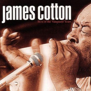 Cotton James - Best Of The Vanguard Years in the group CD / Blues,Jazz at Bengans Skivbutik AB (616793)