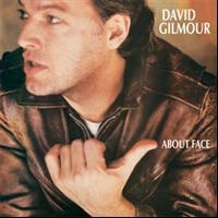 DAVID GILMOUR - ABOUT FACE in the group CD / Pop-Rock at Bengans Skivbutik AB (618028)