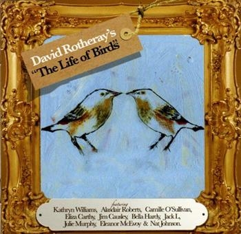 David Rotheray - Life Of Birds in the group CD / Rock at Bengans Skivbutik AB (618591)