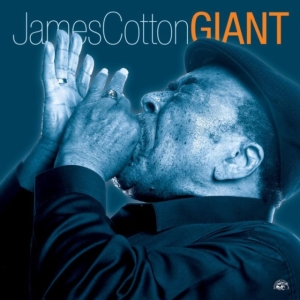 Cotton James - Giant in the group OTHER / Övrigt / at Bengans Skivbutik AB (620057)