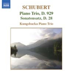 Schubert - Piano Trios in the group Externt_Lager /  at Bengans Skivbutik AB (621210)
