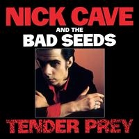 NICK CAVE & THE BAD SEEDS - TENDER PREY in the group CD / Pop-Rock at Bengans Skivbutik AB (625934)
