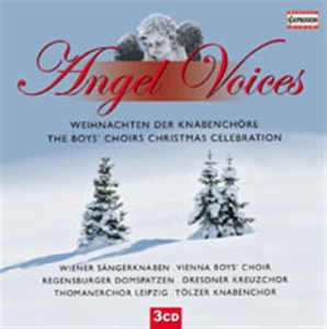 Angel Voices - The Boys Choirs Christmas in the group Externt_Lager /  at Bengans Skivbutik AB (627447)