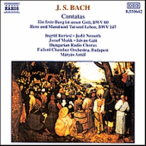 Bach Johann Sebastian - Cantatas in the group Externt_Lager /  at Bengans Skivbutik AB (629214)