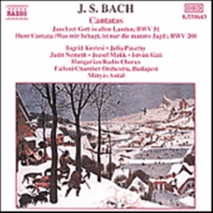 Bach Johann Sebastian - Cantatas in the group Externt_Lager /  at Bengans Skivbutik AB (629369)