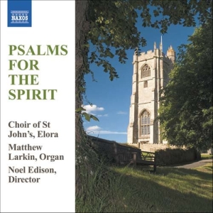 Various - Psalms For The Spirit in the group Externt_Lager /  at Bengans Skivbutik AB (629931)