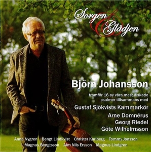 Johansson Björn - Sorgen & Glädjen in the group CD / Dansband-Schlager at Bengans Skivbutik AB (632079)