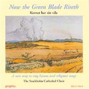 Various - Now The Green Blade Riseth in the group Externt_Lager /  at Bengans Skivbutik AB (634289)