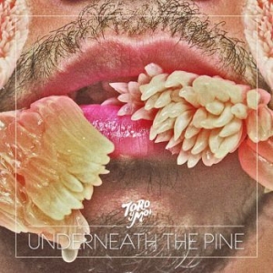 Toro Y Moi - Underneath The Pine in the group OUR PICKS / Stocksale / CD Sale / CD POP at Bengans Skivbutik AB (636006)