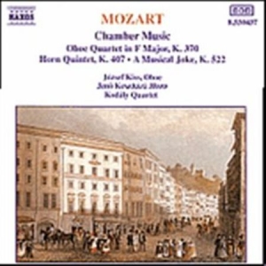 Mozart Wolfgang Amadeus - Chamber Music in the group CD / Klassiskt at Bengans Skivbutik AB (638106)