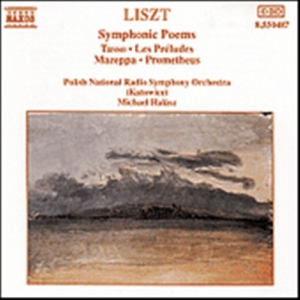 Liszt Franz - Symphonic Poems in the group OUR PICKS / CD Naxos Sale at Bengans Skivbutik AB (638232)