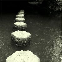 Phelan Sheppard - Harps Old Master in the group CD / Pop-Rock at Bengans Skivbutik AB (639873)