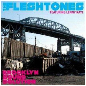 Fleshtones - Brooklyn Sound Solution in the group OUR PICKS / Classic labels / YepRoc / CD at Bengans Skivbutik AB (641088)