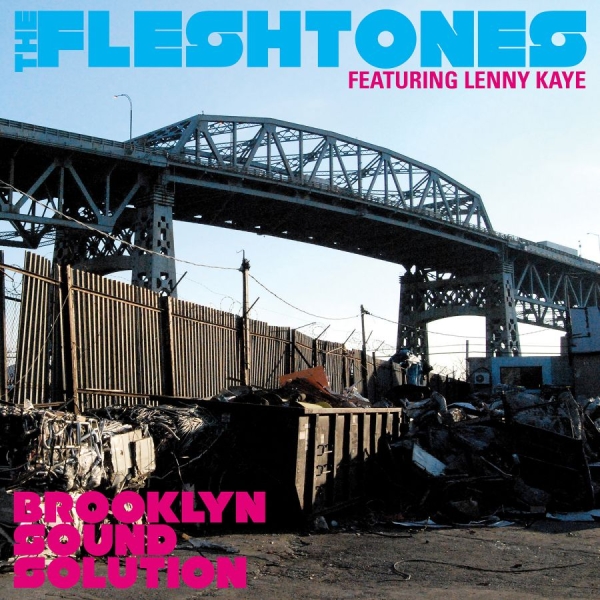 Fleshtones The - Brooklyn Sound Solution in the group OUR PICKS / Classic labels / YepRoc / CD at Bengans Skivbutik AB (641088)