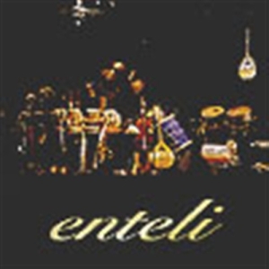 Enteli - Enteli in the group CD / Elektroniskt,Svensk Folkmusik at Bengans Skivbutik AB (643804)