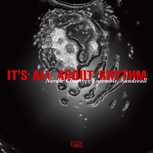 Nordic Chamber Ensemble - It's All About Rhythm in the group CD / Klassiskt at Bengans Skivbutik AB (645684)