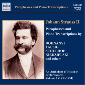 Various - Johann Strauss Ii Piano Transcripti in the group Externt_Lager /  at Bengans Skivbutik AB (646371)