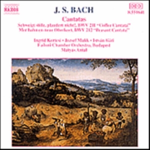 Bach Johann Sebastian - Cantatas in the group Externt_Lager /  at Bengans Skivbutik AB (647971)