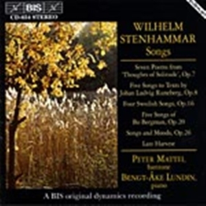 Stenhammar Wilhelm - Songs in the group Externt_Lager /  at Bengans Skivbutik AB (650452)