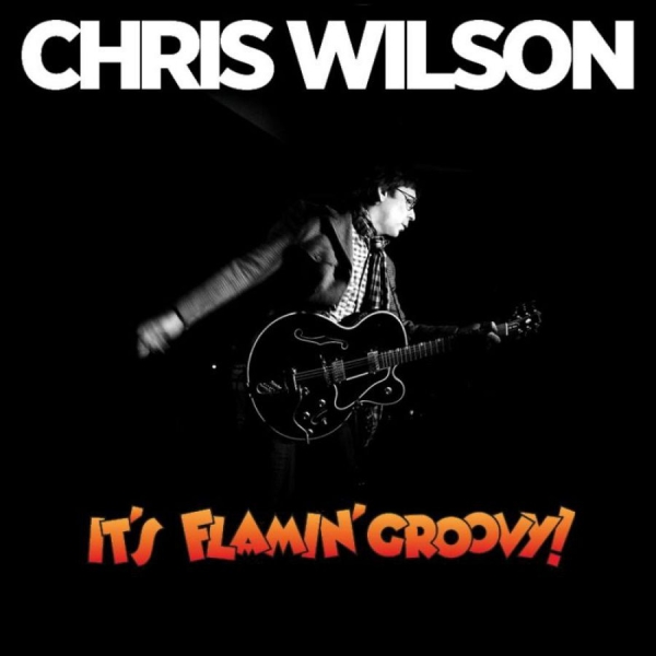 Wilson Chris - It's Flamin' Groovy in the group CD / Rock at Bengans Skivbutik AB (652888)