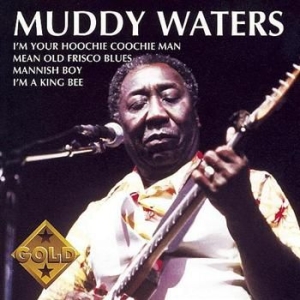 Waters Muddy - Muddy Waters Gold in the group CD / Blues,Jazz at Bengans Skivbutik AB (655881)